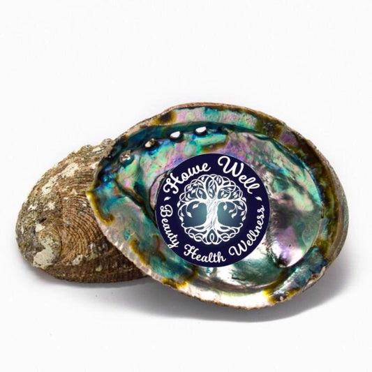 Abalone Shell (Mexico)