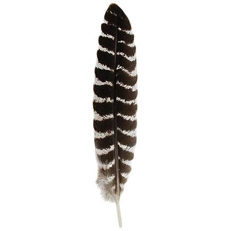 Feather (Smudging)